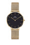 Daniel Wellington Petite 32 Evergold Gold Black Watch DW00100347