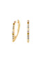 PDPAOLA Multicolor Gloss Hoops