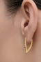 PDPAOLA Multicolor Gloss Hoops