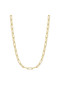 Ania Haie Gold Medium Chain Necklace N062-05G Ania Haie Gold Medium Chain Necklace N062-05G