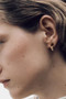 PDPAOLA Tiger Eye Nova Earrings ARB1-G95-U