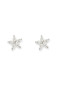 Bianc Sunshine Earrings 10100464