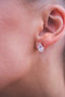 Georgini Aurora Southern Lights Earrings Rose Gold IE975RG