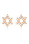 Georgini Rock Star Star Of David Earrings Rose Gold IE994RG