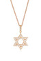 Georgini Rock Star Star Of David Pendant Rose Gold IP843RG