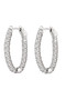 Bianc Halo Earrings Large  10100694