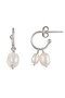 Bianc Island Earrings  10100706