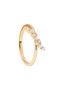 PDPAOLA Natura Gold Ring AN01-886