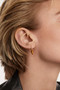 PDPAOLA Naoki Tiger Eye Single Earring