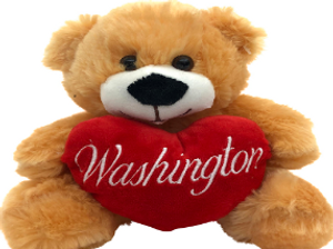 Washington DC Toy Bear Plush Washington DC Toy Bear Plush
