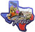 Texas State Shaped Foil Magnet Collage Texas State Shaped Foil Magnet Collage