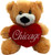 Chicago Plush Bear Lt. Beige