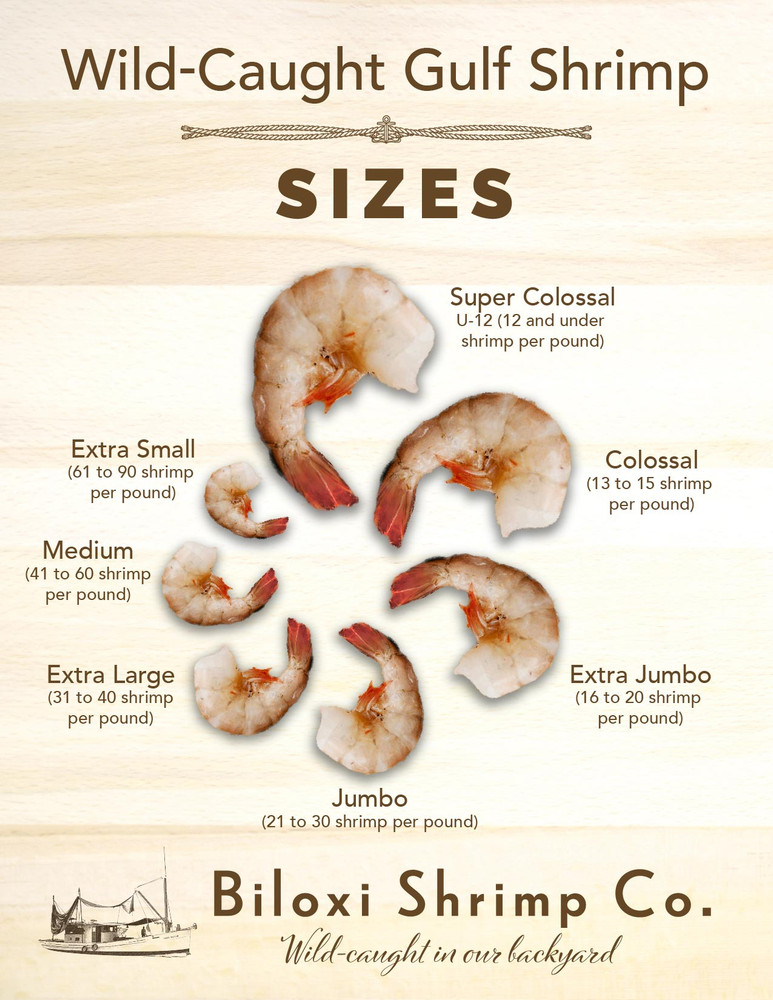 shrimp size classification