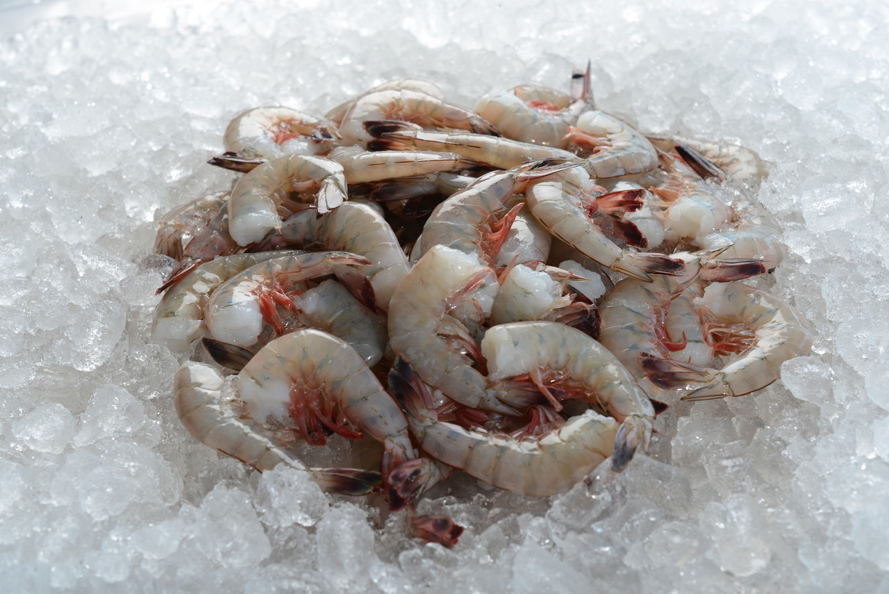 Order Colossal Peeled, Deveined Tail-On Shrimp – Biloxi Shrimp Co.