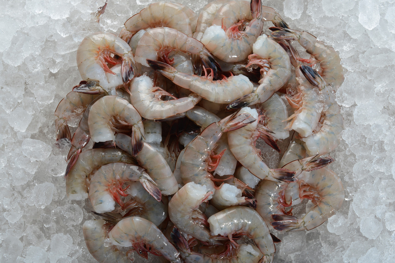 Order Gulf-Caught Extra Jumbo EZ-Peel Shrimp – Biloxi Shrimp Co.