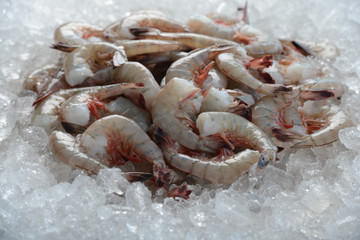 Jumbo EZ-peel Biloxi shrimp frozen on ice.