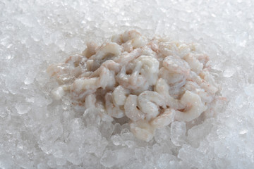 Extra small shrimp frozen on ice.