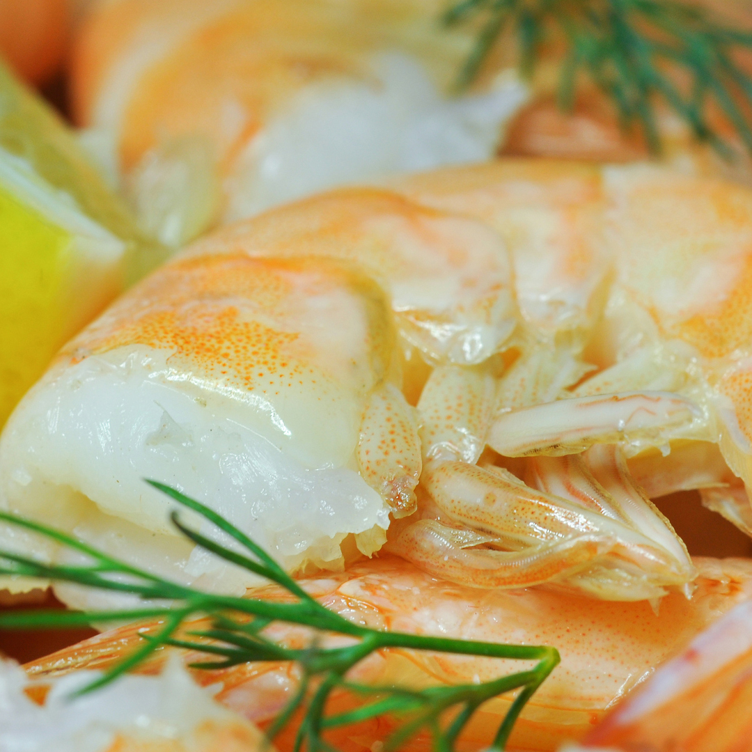 Order Extra Large Peeled & Deveined Tail-Off Shrimp from the Gulf – Biloxi  Shrimp Co.