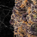 Purple Haze Premium THCa Flower from Kefi Kanna featuring laboratory verified potency and premium craft cannabis.