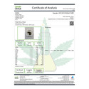 Chem De La Chem Premium THCa Flower.