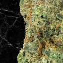 Crazy Runtz Premium THCa Flower.