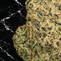 SUB Zero Premium THCa Flower