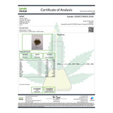 Purple Haze Premium THCa Flower from Kefi Kanna featuring laboratory verified potency and premium craft cannabis.