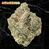 CHEM DE LA CHEM Premium THCa Flower | 35.725% | Kefi Kanna
