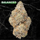 BLUE LOBSTER Premium THCa Flower | 30.046% | Kefi Kanna