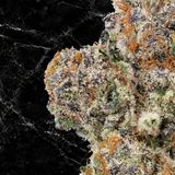 Blue Sunset Sherbet Kefi Reserve Premium Small Batch THCa Flower.