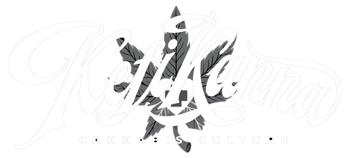 Enter email to continue with check-out!