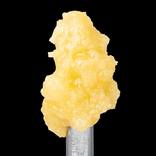 Northern Lights Live Badder