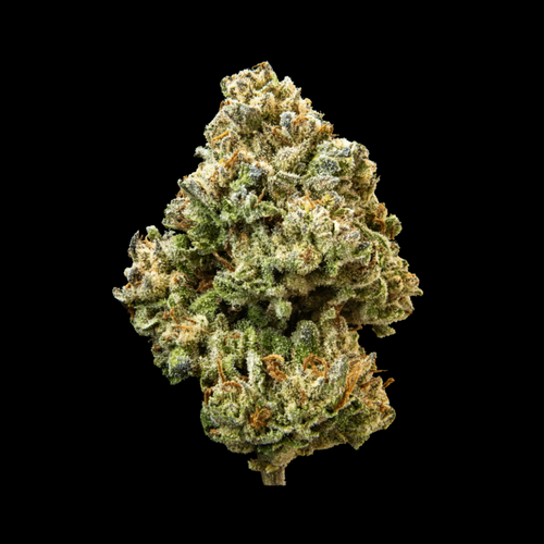 A big bud of SFV OG THCa Flower, sativa-dominant strain, with richly uplifting effects, as seen at kefikanna.com