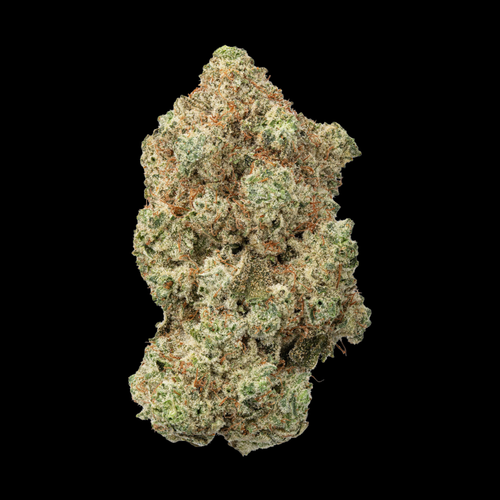 A big bud of Bubba Kush THCa Flower, indica-dominant strain, with deeply relaxing effects, as seen at kefikanna.com
