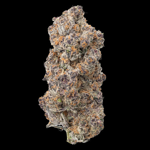 A big, beautiful bud of Super Boof THCa Flower from Kefi Kanna Dispensary, as seen at kefikanna.com