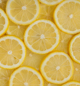 What are Terpenes?