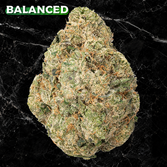 RAINBOW BELTS Premium THCa Flower | 27.850% | Kefi Kanna