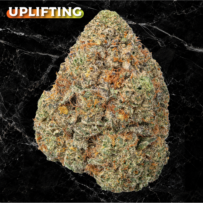 BRUCE BANNER Premium THCa Flower | 30.483% | Kefi Kanna