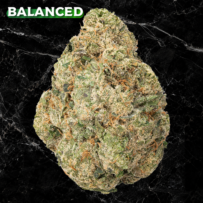 RAINBOW BELTS Premium THCa Flower | 27.850% | Kefi Kanna