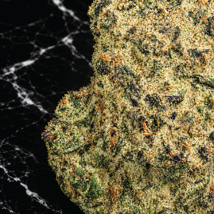SUB Zero Premium THCa Flower