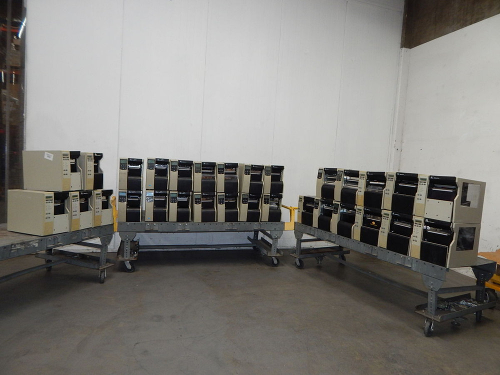 Lot of 30 Zebra      For Sale