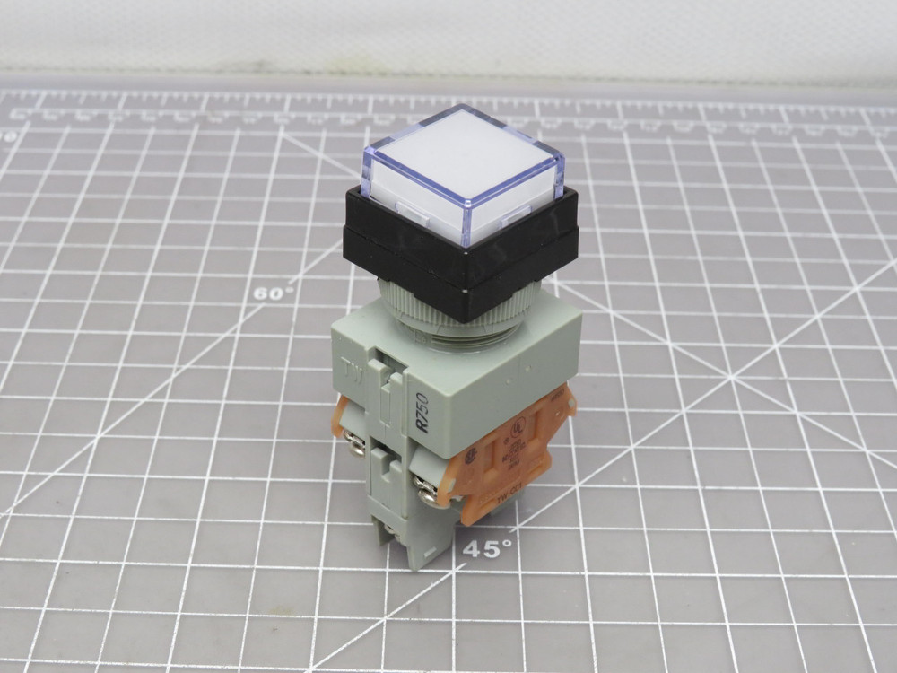 IDEC AOLQW2B9902-R-24  TW Series 22mm NEMA Style Pushbutton For Sale