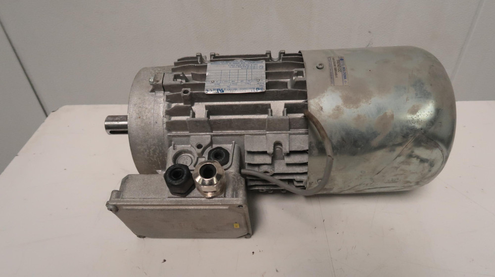 Motori Elettrici 100A4 CCNM40  Electric Motor 3 HP For Sale