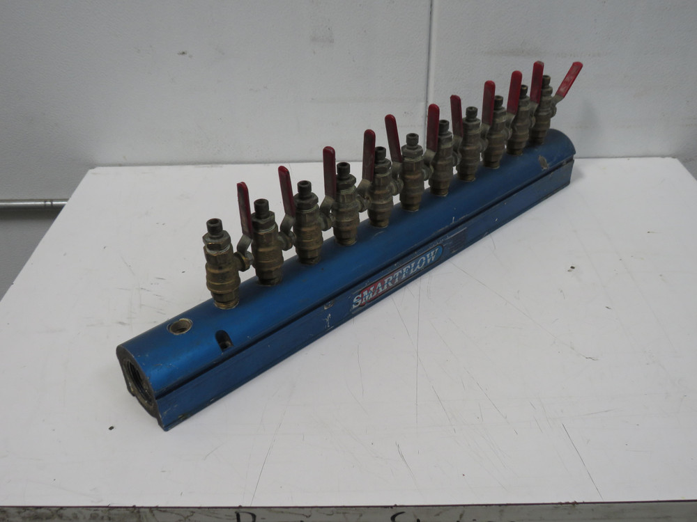 Burguer & Brown   Smartflow Water Manifold 12 Ports with 2 In Plug For Sale