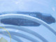 NORTH HILLS SIGNAL PROCESSING 5M2867-007 FSCM 98821 T132029