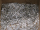 LOT OF 1500 MOLEX 0380021502 HEADER PINS T226203