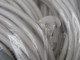 LOT OF 10 BRAD CONNECTIVITY 1200721089 9015784 MICRO TO NEMA 5-15P ASSEMBLY 3-POLE FEMALE/MALE 24 FT 18/3 AWG WHITE PVC SJTW T168201