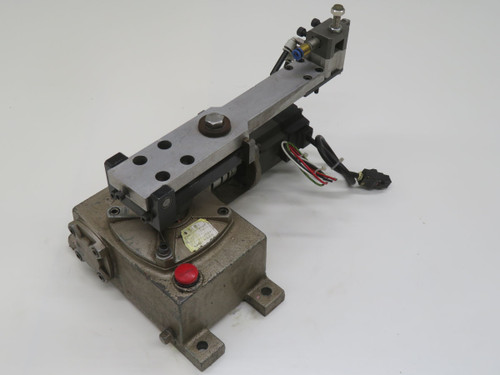 BELLPONY      For Sale