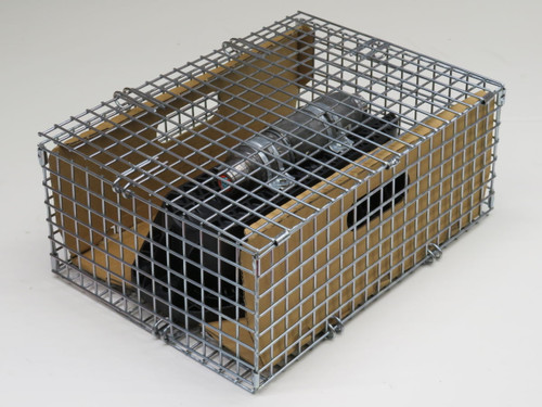 LAND ROVER  LR091702    For Sale