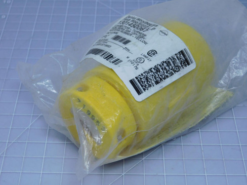 Woodhead 2909 1301450067   AC Power Plug NON-NEMA LOCK 30A 120/250V For Sale